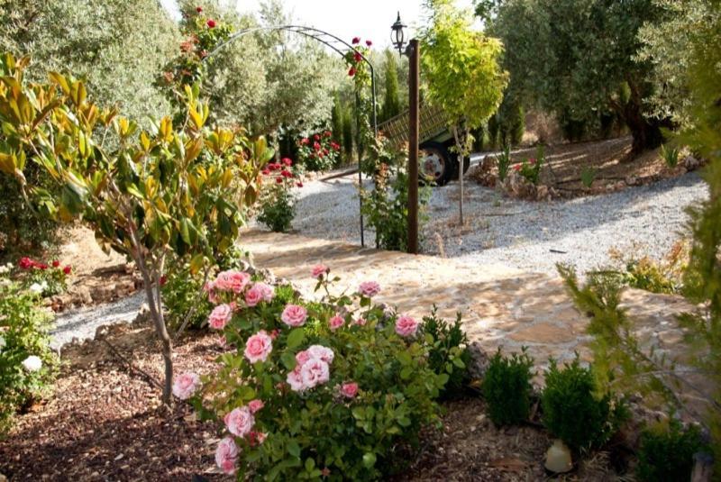 Casas Rurales Cazorla-Alcon Pozo Alcon Room photo