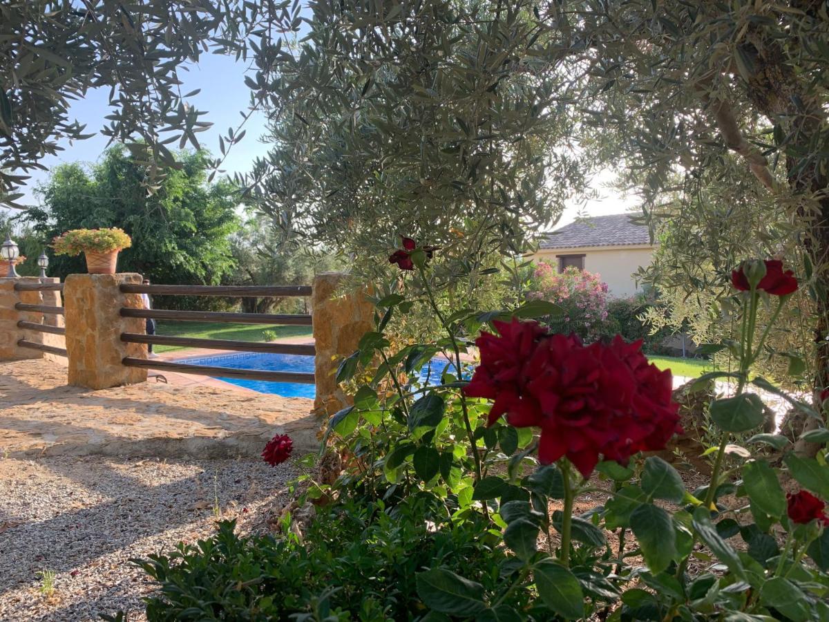 Casas Rurales Cazorla-Alcon Pozo Alcon Exterior photo